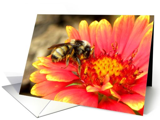 Bee Gathering Pollen card (652774)