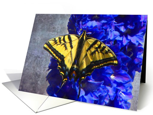 Yellow Swallowtail on Blue Floral card (654931)
