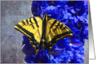 Yellow Swallowtail on Blue Floral card