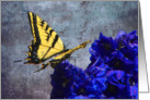 Yellow Swallowtail on Blue Florwers card
