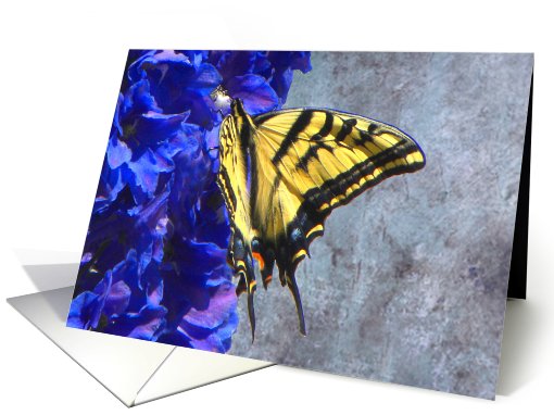 Swallowtail Butterfly on Blue Floral card (654933)