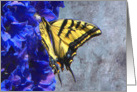 Swallowtail Butterfly on Blue Floral card