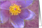 Pretty Purple Floral card