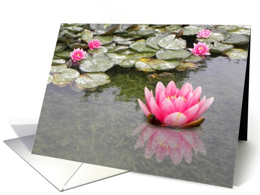Waterlily and Reflections card (662423)