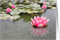 Waterlily and Reflections card