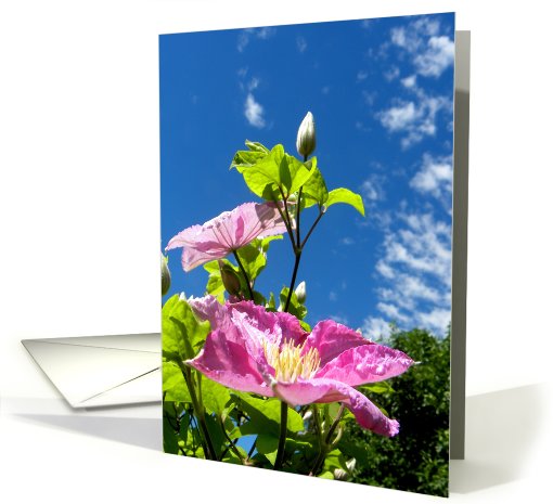 Blue Sky and Clematis card (662431)