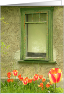 Pretty Window and Tulips card