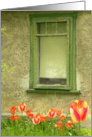 Pretty Window and Tulips card