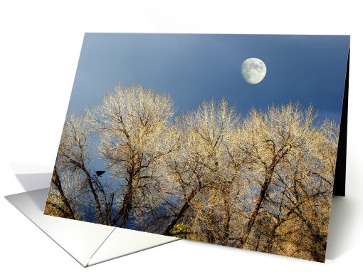 Winter Trees and Mon card (662439)