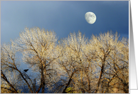 Winter Trees and Mon card
