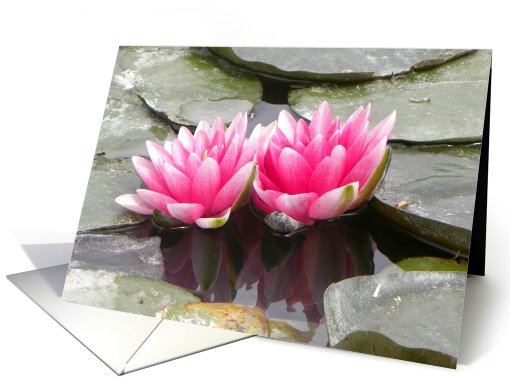 Double Beauty Waterlilies card (662441)