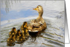 Smiling Mom Duck and Ducklings card