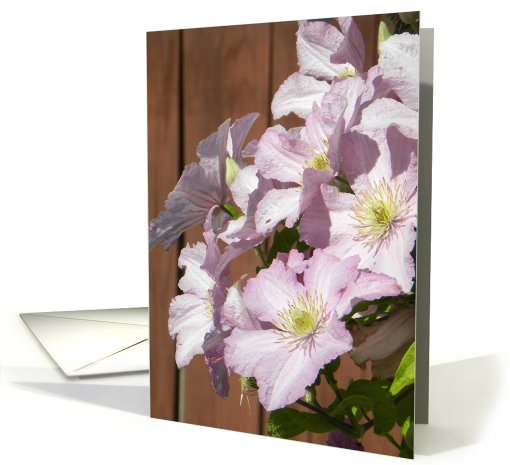 Pink Gorgeous Clematis card (665217)