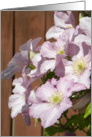 Pink Gorgeous Clematis card