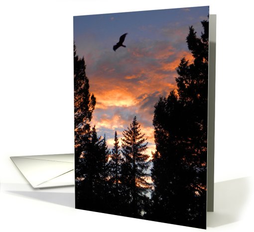 Splendid Mountain Sunset card (670953)
