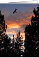 Splendid Mountain Sunset card