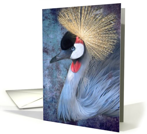 Grey Crowned Crane card (675578)