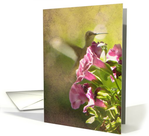 Hummingbird Behind Blooms card (675588)