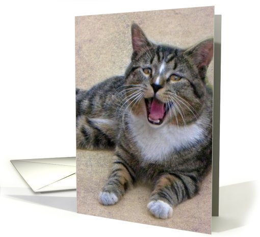 George the Laughing Kitty card (675596)