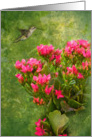 Hummingbird Floral card