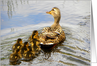 Mom Duck and Ducklings card