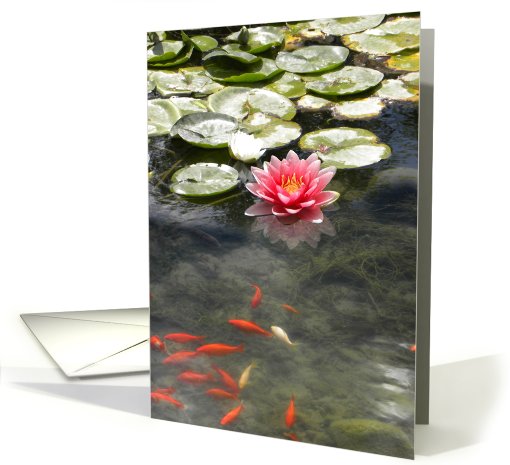 Red Waterlily and Koi on Pond card (682311)