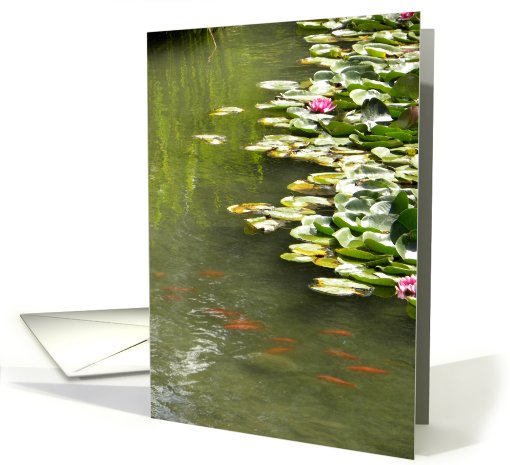 Koi and Waterlilies on Pond card (682330)
