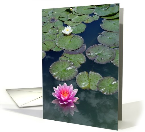 Perfect Purple Waterlily card (683323)