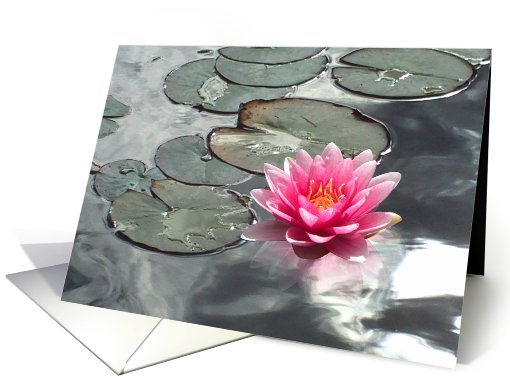 Silvery Pond and Waterlily card (683326)