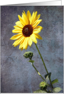 Sunflower Fade card
