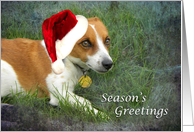 Jack Russell in Christmas Hat card