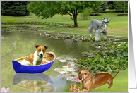 Little Boat and Cute Dogs card