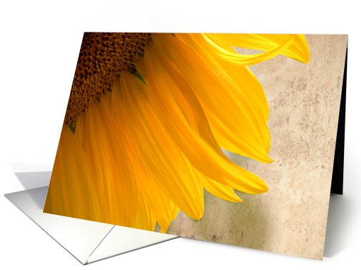 Sunflower Shadows card (705198)