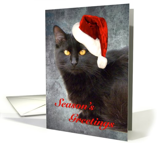 Black Cat With Santa Hat card (705249)