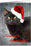 Black Cat With Santa...