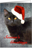 Black Cat With Santa Hat card