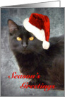 Black Cat With Santa Hat card