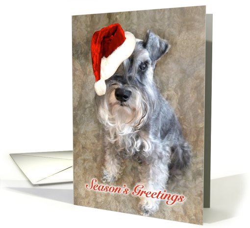 Silver Schnauzer With Santa Hat card (705252)
