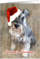 Silver Schnauzer With Santa Hat card