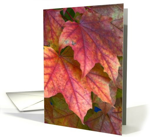 Dreamy Red Leaves in Autumn card (710483)