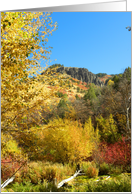Canyon Fall Colors card
