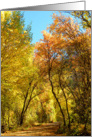 Golden Fall Pathway card