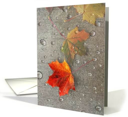 Fall Colorful Leaf With Water Droplets card (713683)
