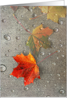 Fall Colorful Leaf With Water Droplets card