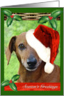 Adorable Dachshund Doggie in Christmas Hat card