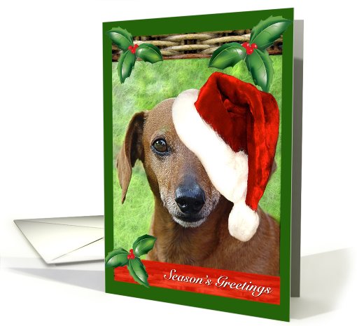 Adorable Dachshund Doggie in Christmas Hat card (713692)
