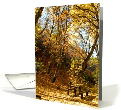 Leaning Fall Trees card (713695)