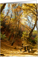 Leaning Fall Trees card