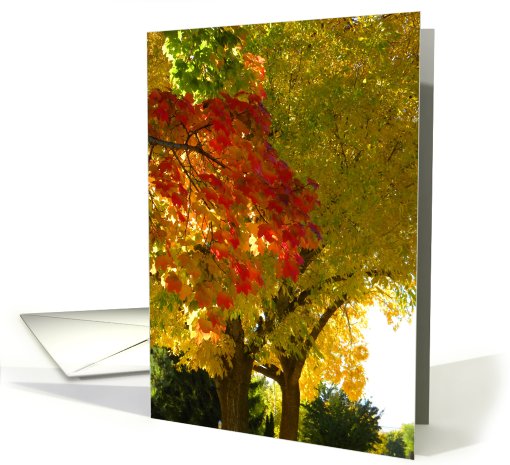 Stunning Autumn Leaves card (713706)