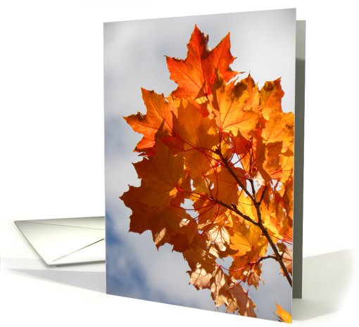 Flaming Autumn Leaves card (713710)